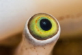   Are you looking me  